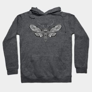 grey moth insect design Hoodie